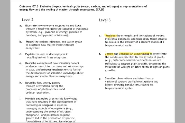The Four Level Rubric